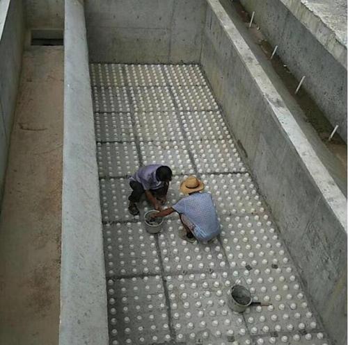 �V�^���b�F��