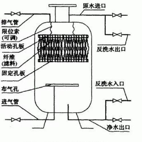 �w�S���^�V��